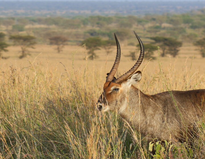 KIDEPO VALLEY NATIONAL PARK